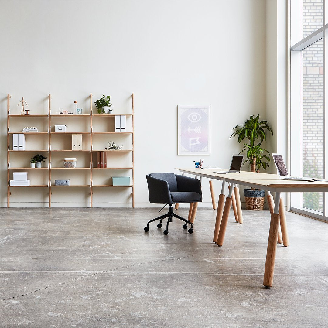 Branch-3 Shelving Unit