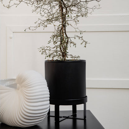 Bau Pot