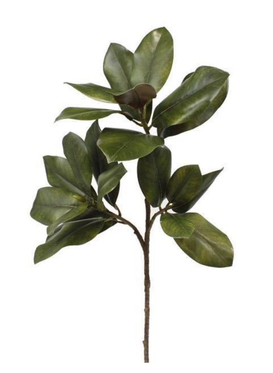 33” Magnolia leaf spray