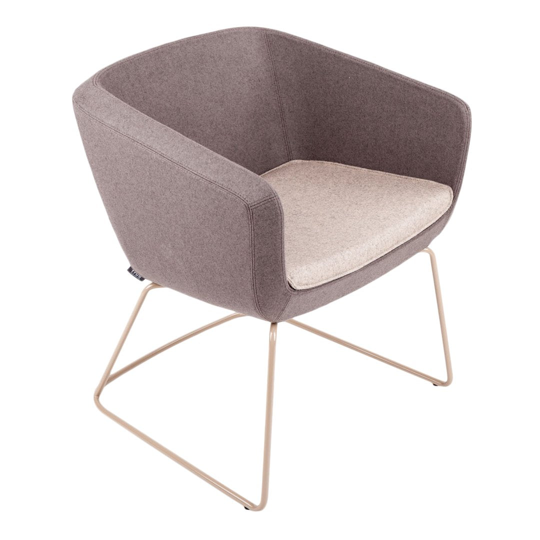 Arca 5095 Small Armchair - Sled Base