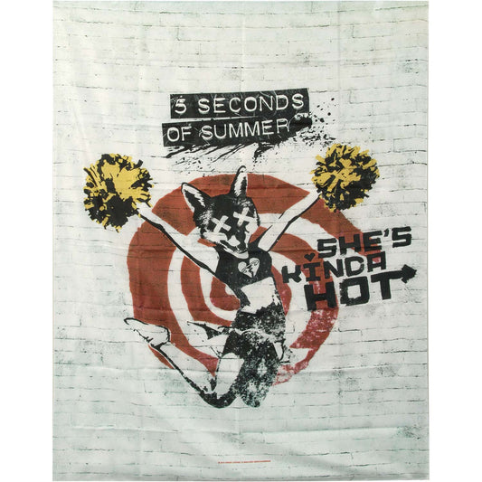 5 Seconds Of Summer She's Kinda Hot Poster Flag
