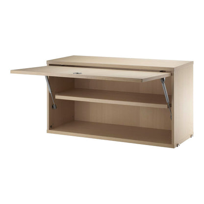 Cabinet with Flip Door