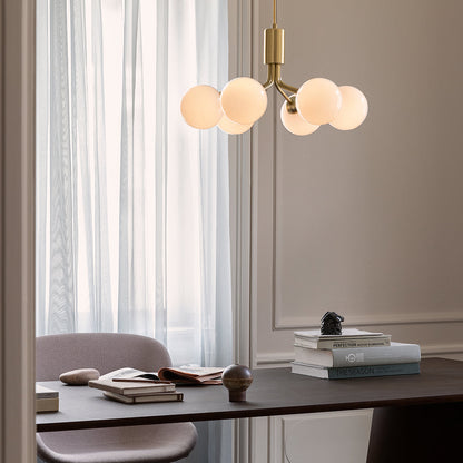 Apiales 6 Chandelier