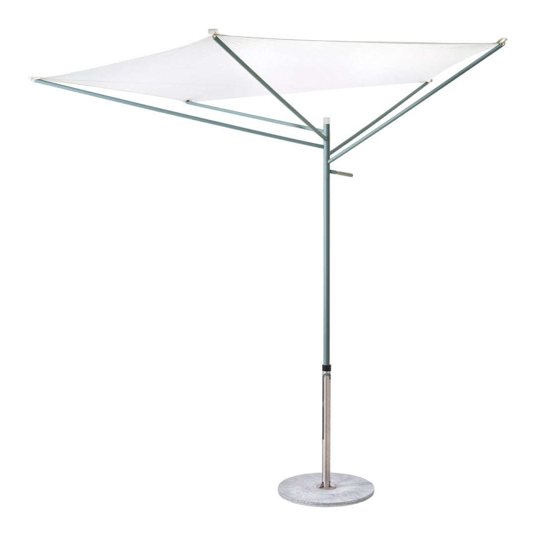 Acacia Parasol