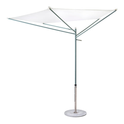 Acacia Parasol