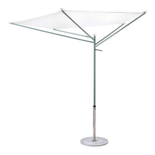 Acacia Parasol