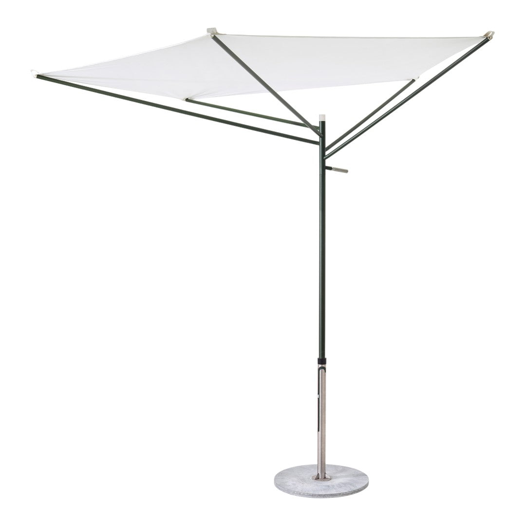 Acacia Parasol