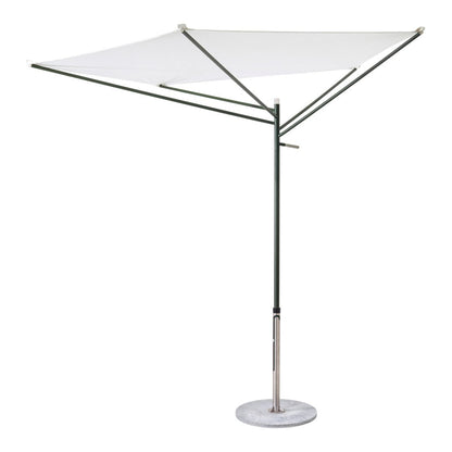 Acacia Parasol