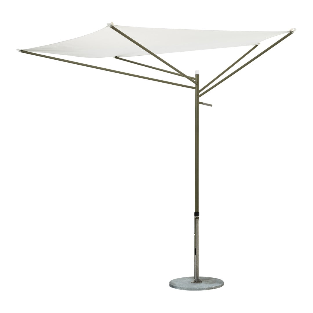 Acacia Parasol