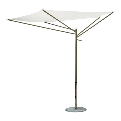 Acacia Parasol