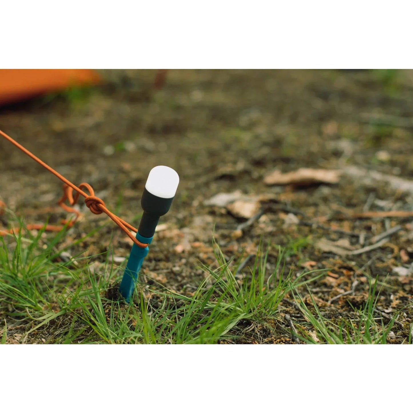 BOILITE Site Light