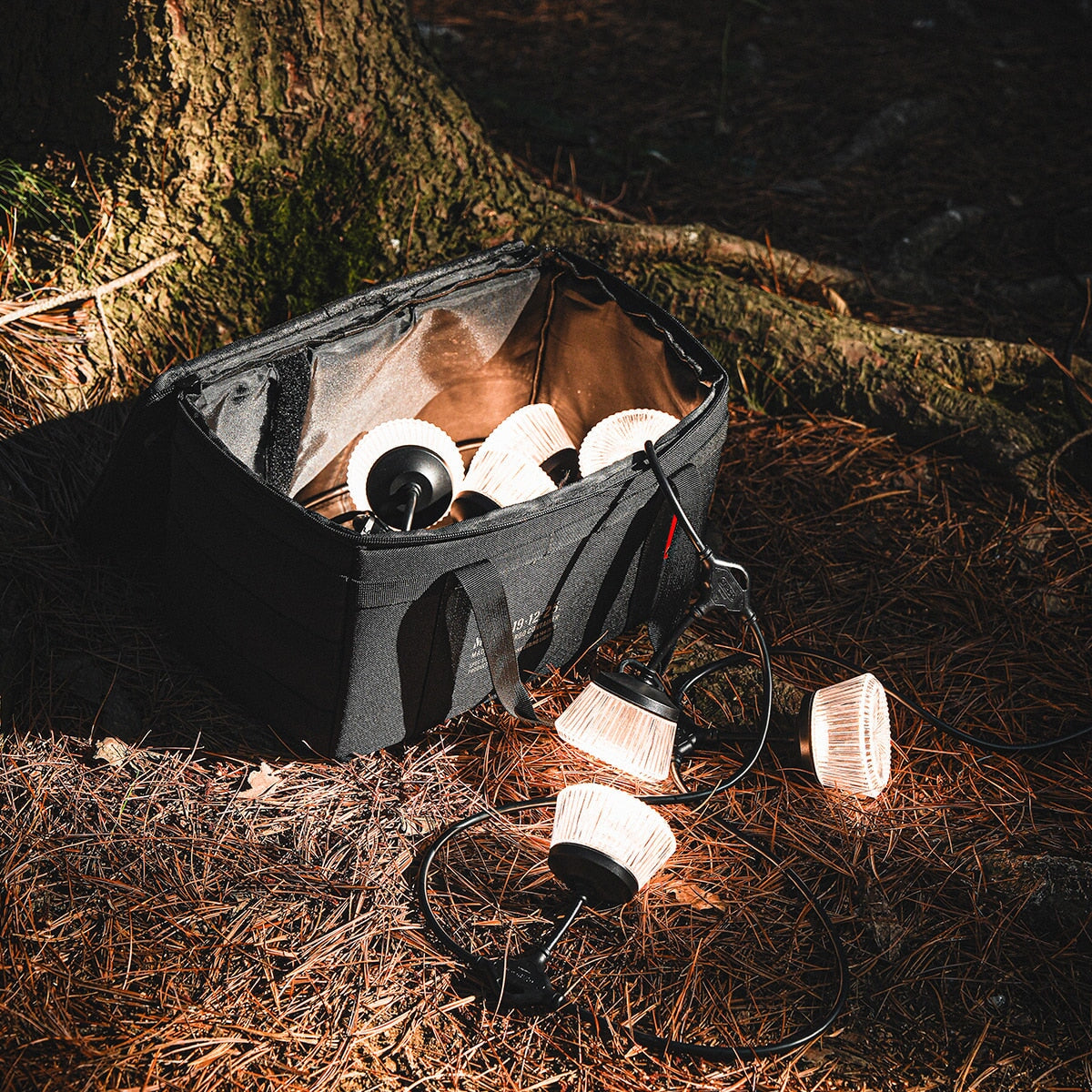 CARGO Shine String Light 7
