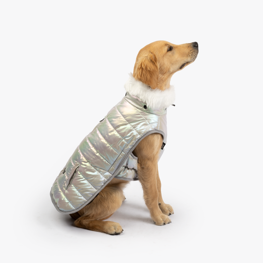 Nikka Easy Fit Jacket (Silver)