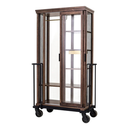 Cabinet of Curiosity Dress