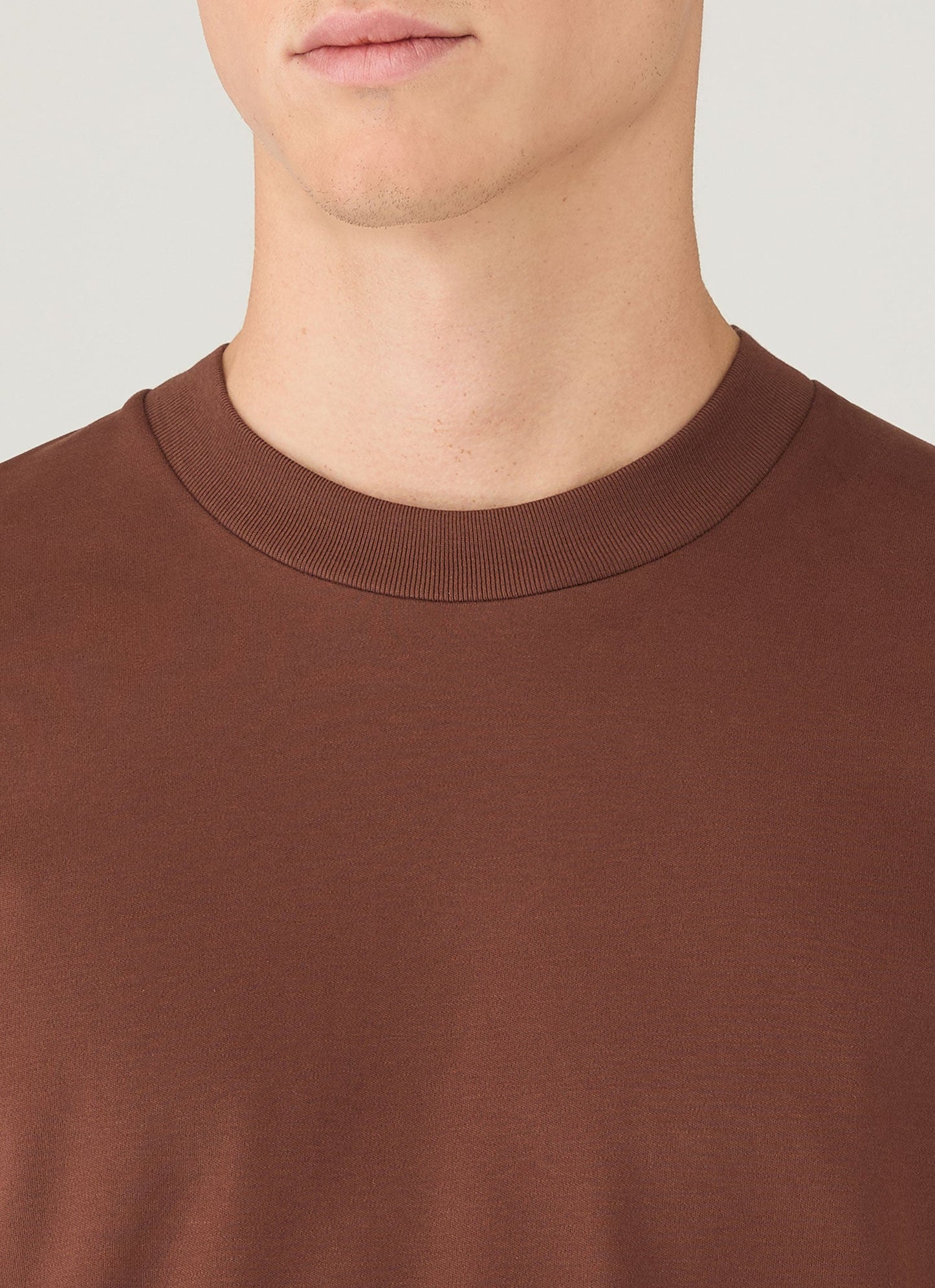 Men's Relaxed Fit Heavyweight T-shirt in Conker Brown