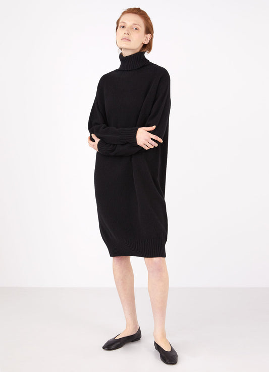 Womens Lambswool Roll Neck Dress In Black